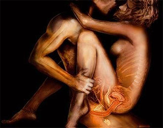 Anatomical Art