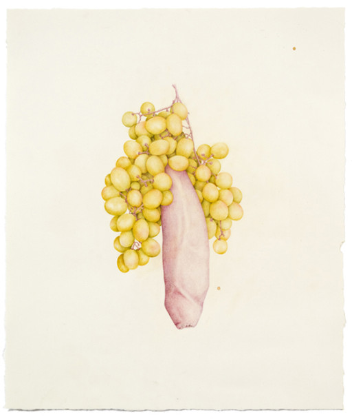 Aurel Schmidt