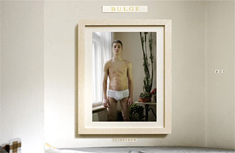 Bulge