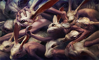 Ryohei Hase
