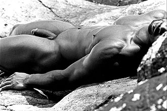 Robert Laliberte