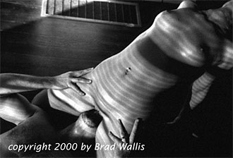 Brad Wallis