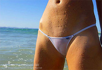 Wicked Weasel