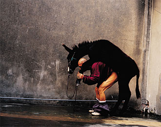 Zhang Huan